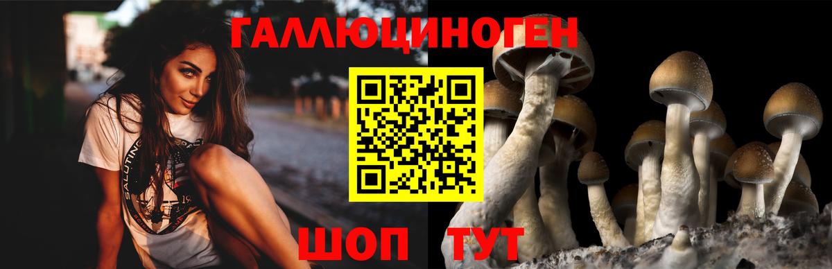 Галлюциногенные грибы мицелий  Галлюциногенные грибы Cubensis  Орёл  Вход с VPN 
